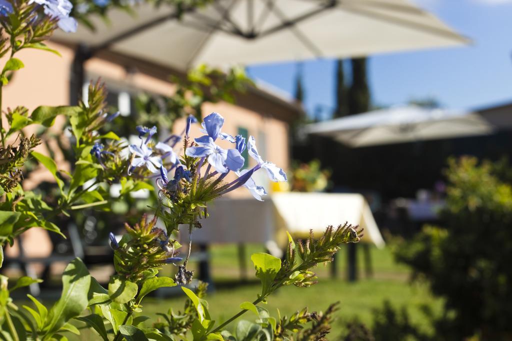 Agriturismo Ferruggini Болгери Экстерьер фото